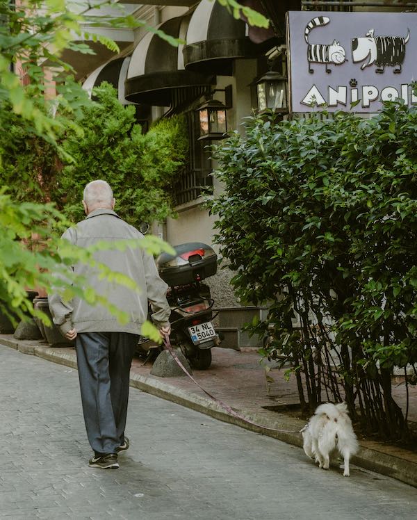Ældre mand og hund