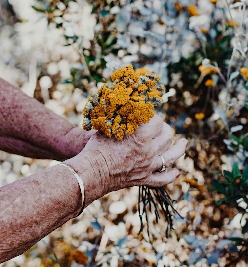 Hænder med blomster