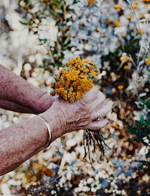 Hænder med blomster